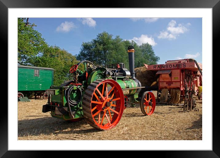 1919 Wallis & Steevens Traction Engine Framed Mounted Print by Alan Barnes