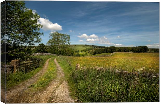 Wharfedale Yorkshire  Canvas Print by Eddie John