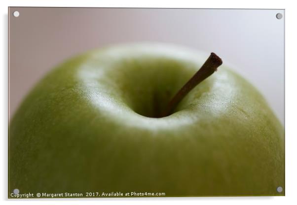Apple  Acrylic by Margaret Stanton