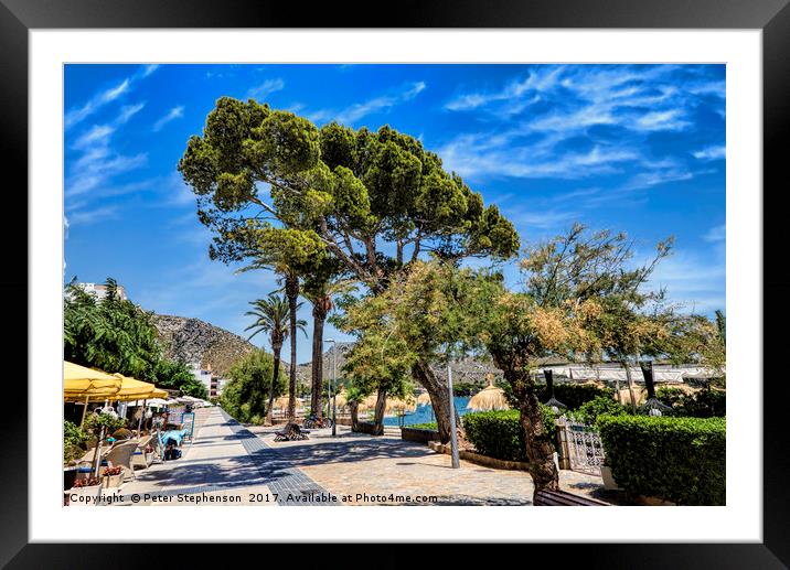 The Pine Walk Puerto Pollenca Framed Mounted Print by Peter Stephenson