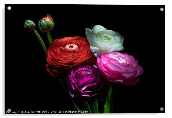 Ranunculus Bouquet Acrylic by Ann Garrett