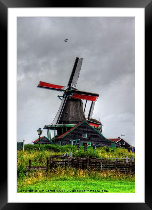 Dutch Windmill Framed Mounted Print by Tom Gomez