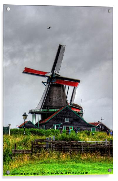 Dutch Windmill Acrylic by Tom Gomez