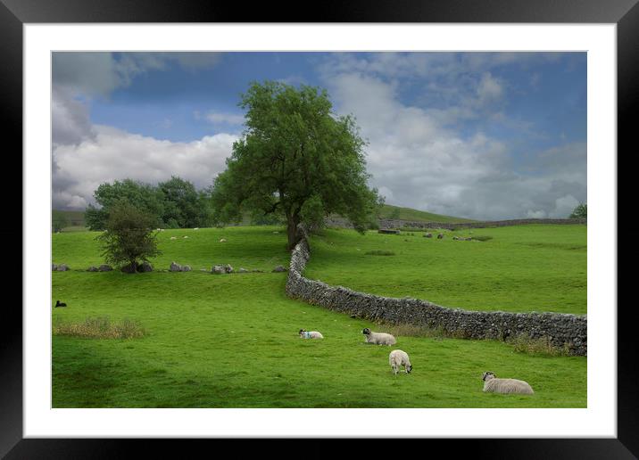 Yorkshire dales Framed Mounted Print by Eddie John