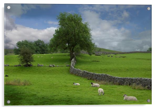 Yorkshire dales Acrylic by Eddie John