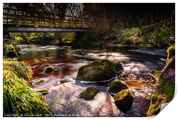 West Beck Print by richard sayer