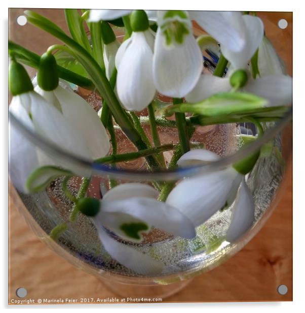 glass of snowdrops Acrylic by Marinela Feier