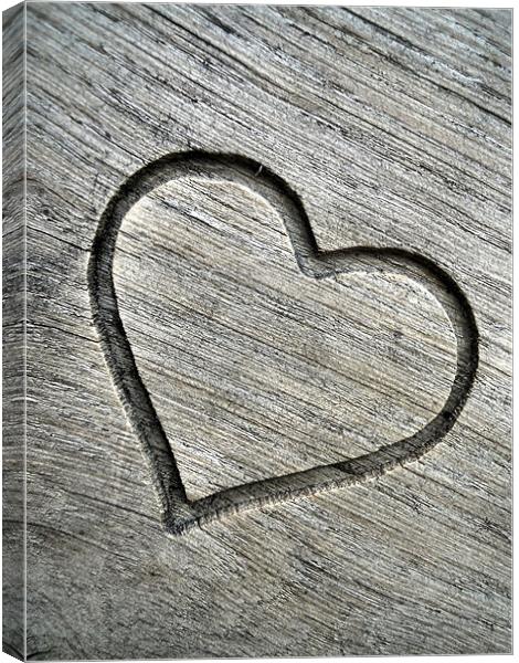 carved wooden heart Canvas Print by Heather Newton