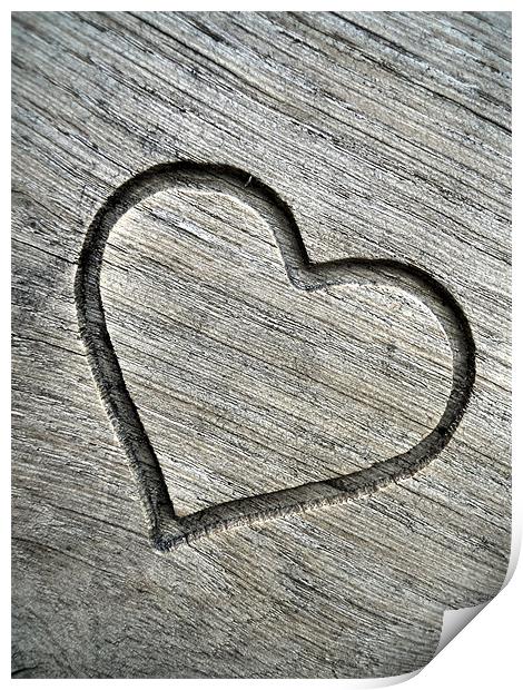 carved wooden heart Print by Heather Newton