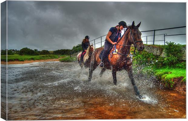 Water Horses HDR Canvas Print by Rob Hawkins