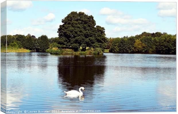 Reflections of a Swan Canvas Print by Lauren Bywater