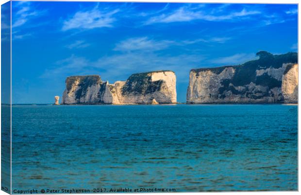 Old Harry Rocks Canvas Print by Peter Stephenson