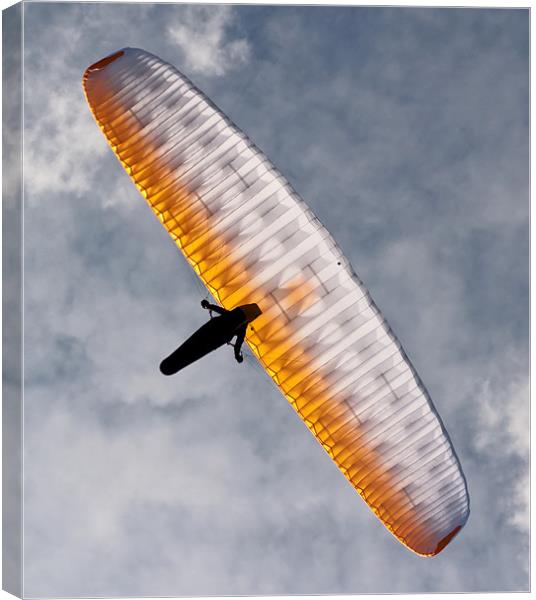 Sunlit Paraglider Canvas Print by Bel Menpes