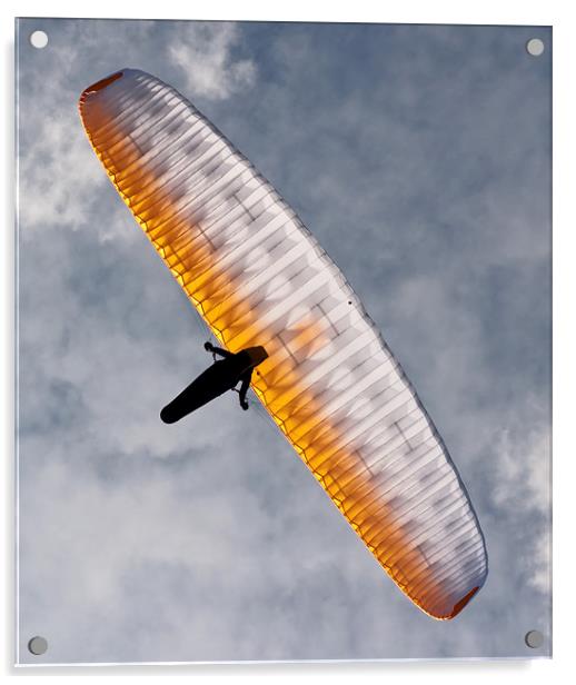 Sunlit Paraglider Acrylic by Bel Menpes