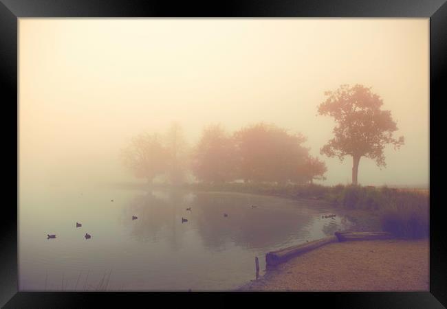Foggy day! Framed Print by Inguna Plume