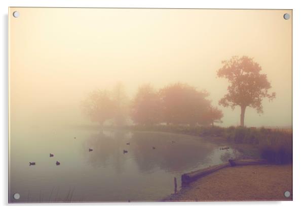 Foggy day! Acrylic by Inguna Plume