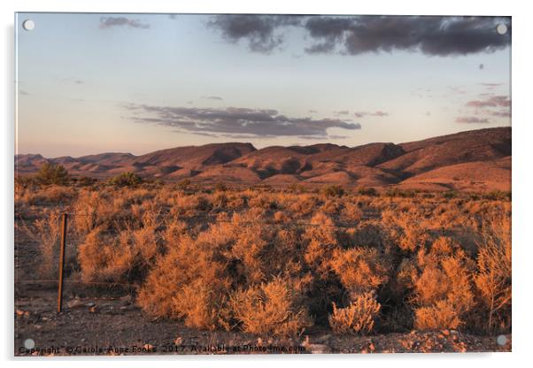 Sunset on the Heysen Range, Flinders Ranges Acrylic by Carole-Anne Fooks