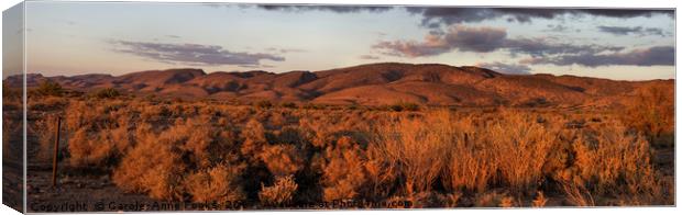 Sunset on the Heysen Range, Flinders Ranges Canvas Print by Carole-Anne Fooks