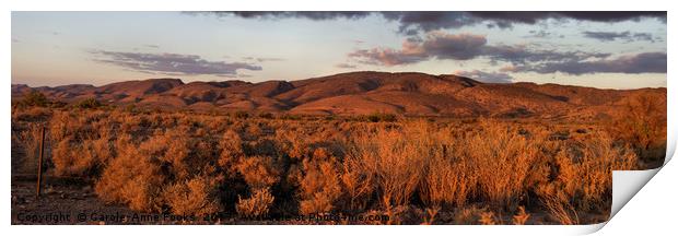 Sunset on the Heysen Range, Flinders Ranges Print by Carole-Anne Fooks