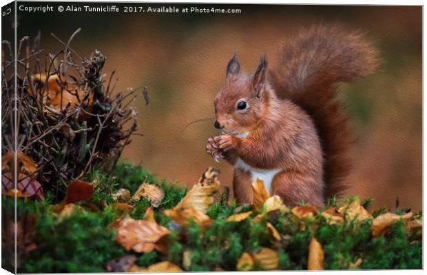 Red squirrel Canvas Print by Alan Tunnicliffe