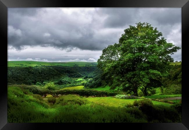 Looking over the Gwaun Valley Framed Print by Linda Cooke