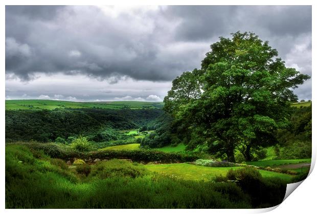 Looking over the Gwaun Valley Print by Linda Cooke