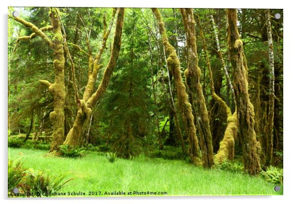 Lush Rain Forest  Acrylic by Christiane Schulze