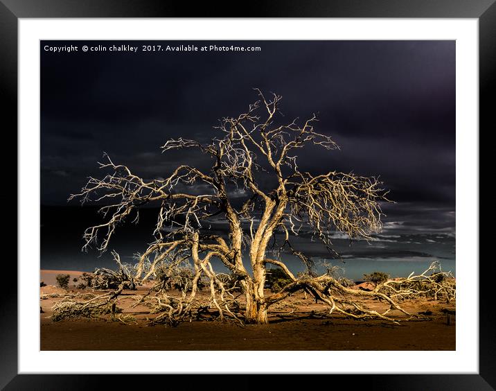 Namibia - Surreal Sossusvlie at Dawn Framed Mounted Print by colin chalkley