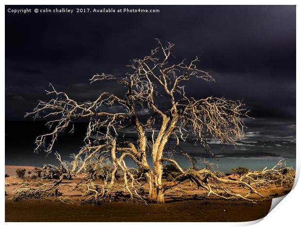 Namibia - Surreal Sossusvlie at Dawn Print by colin chalkley