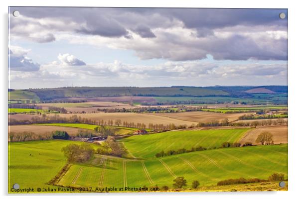 View from Butser Hill in Hampshire Acrylic by Julian Paynter