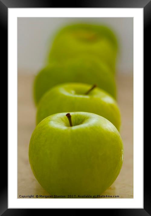 Green Apple line up  Framed Mounted Print by Margaret Stanton