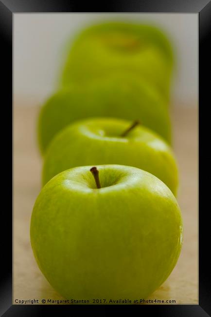 Green Apple line up  Framed Print by Margaret Stanton
