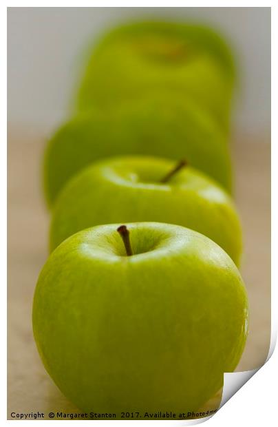 Green Apple line up  Print by Margaret Stanton