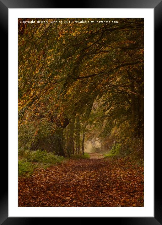 Autumn footpath Framed Mounted Print by Mark Bunning