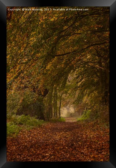 Autumn footpath Framed Print by Mark Bunning