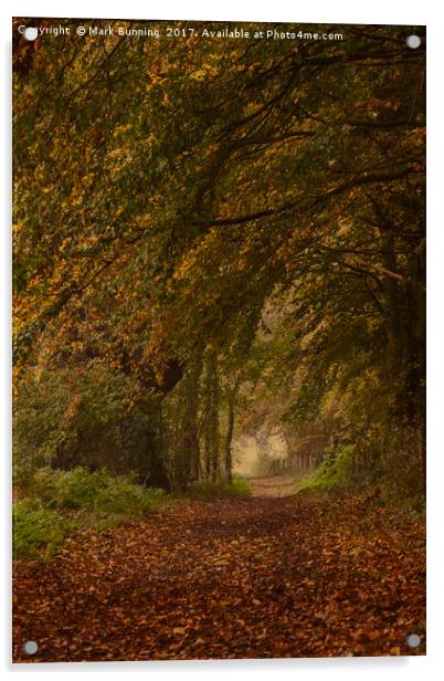 Autumn footpath Acrylic by Mark Bunning