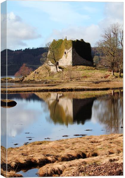 Lachlan Castle, Loch Fyne Canvas Print by Dave Menzies