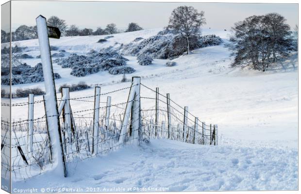 Hadleigh pathway in snow Canvas Print by David Portwain