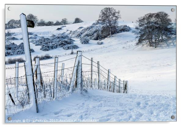 Hadleigh pathway in snow Acrylic by David Portwain