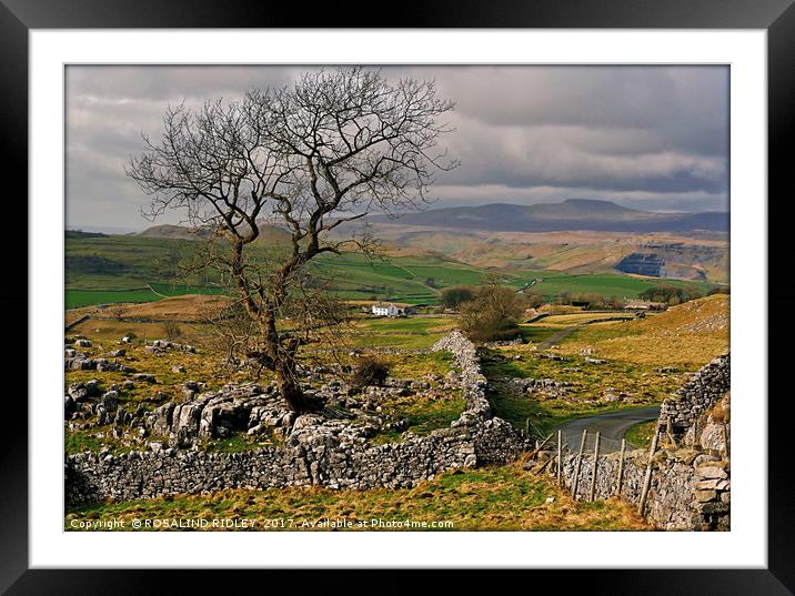 "Yorkshire Dales view across to the mountains of W Framed Mounted Print by ROS RIDLEY