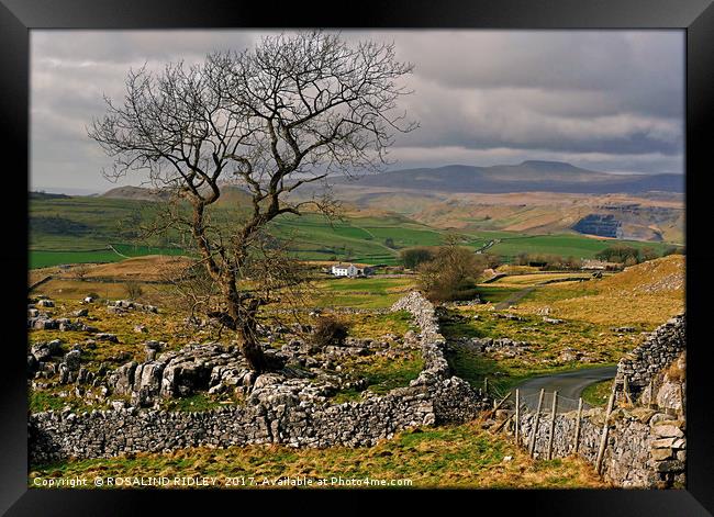 "Yorkshire Dales view across to the mountains of W Framed Print by ROS RIDLEY