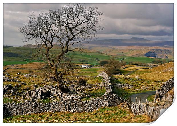 "Yorkshire Dales view across to the mountains of W Print by ROS RIDLEY