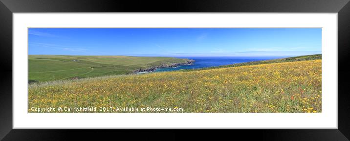 Polly Joke Beach in Cornwall, Panoramic Framed Mounted Print by Carl Whitfield