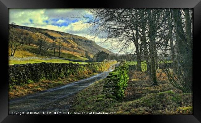 "BUCOLIC SCENE IN THE YORKSHIRE DALES" Framed Print by ROS RIDLEY