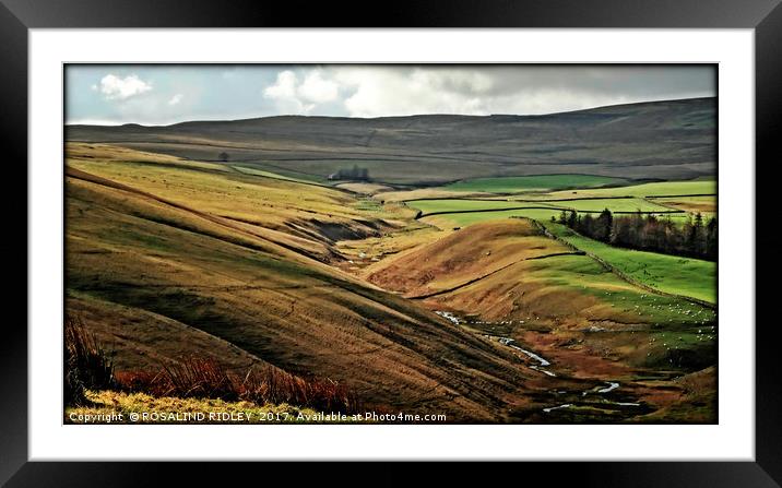 "The beauty of the moors" Framed Mounted Print by ROS RIDLEY