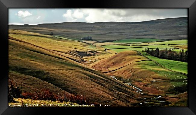 "The beauty of the moors" Framed Print by ROS RIDLEY