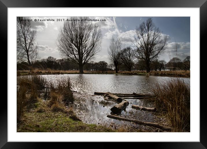 Small lake Richmond Park Framed Mounted Print by Kevin White