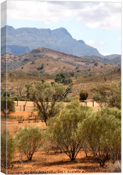 Arkaba Homestead & Elder Range Canvas Print by Carole-Anne Fooks