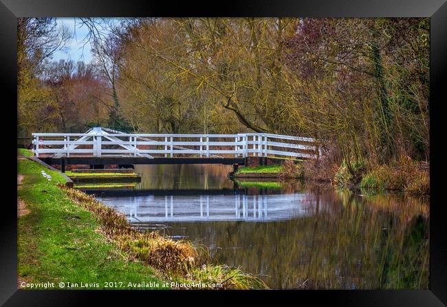 The Swing Bridge At Sulhamstead Framed Print by Ian Lewis