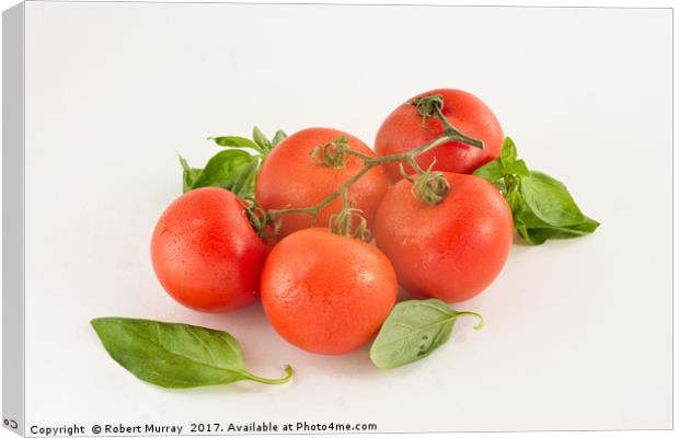  Tomatoes and Basil Canvas Print by Robert Murray